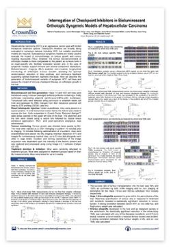 download developments in reliable computing