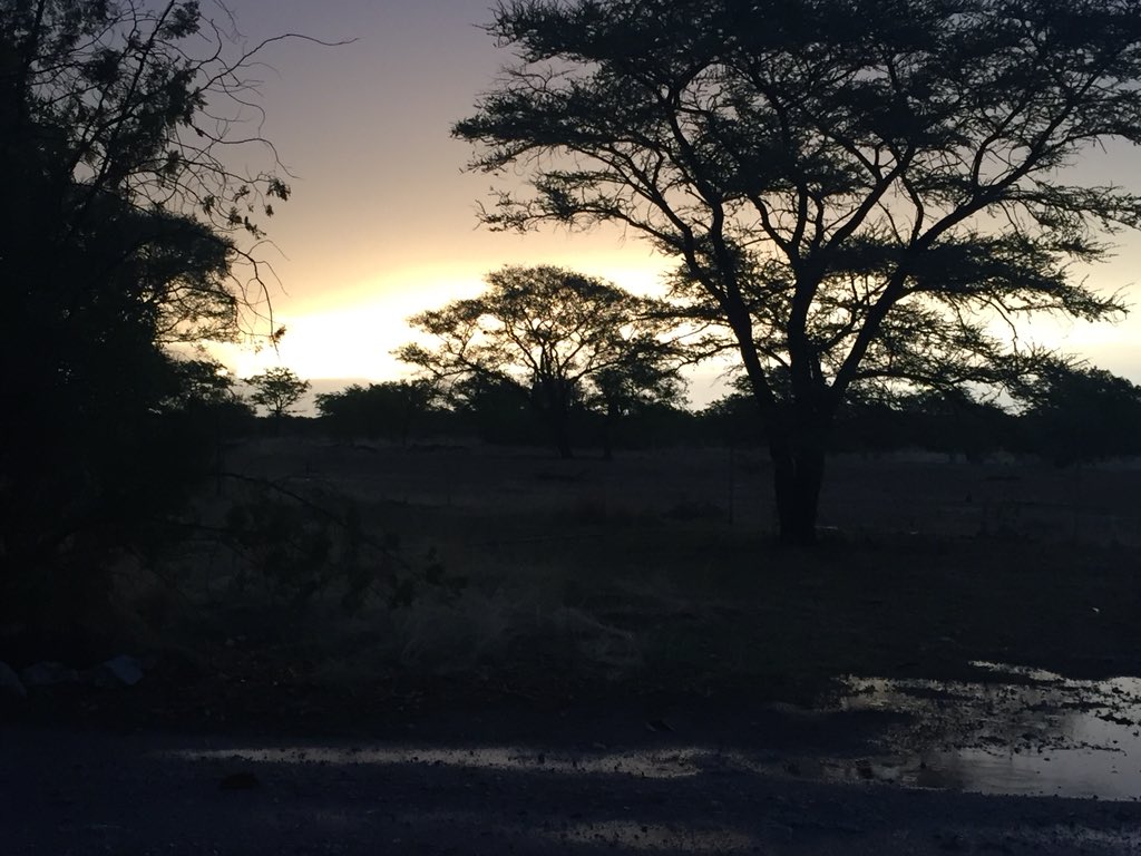 gerdabrand's tweet photo. And it continues #vreugde #decholiday #ournamibia https://t.co/YT0yrApHgs