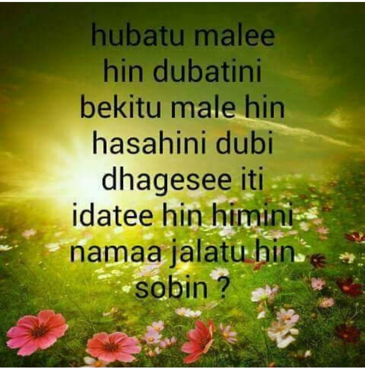 SenaaAbdisaa's tweet photo. https://t.co/xfzKwr5HMZ
