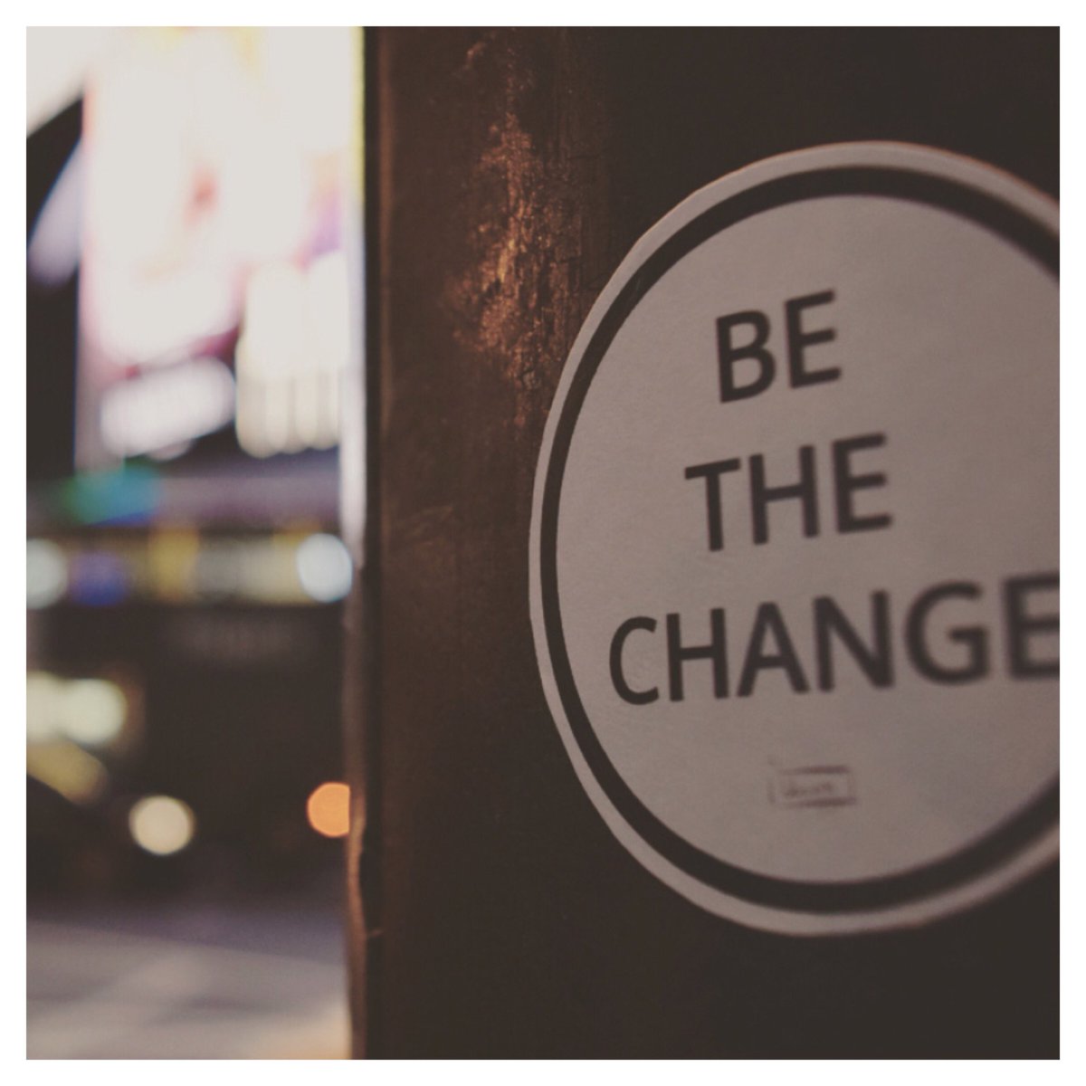 Northumbrian Botanicals tweet media