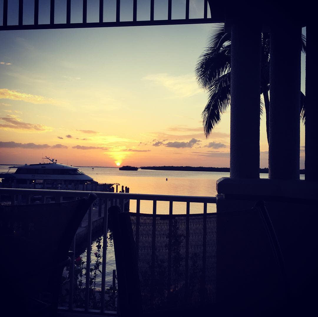 This isn’t your grandma’s dinner cruise. Join us on the Sanibel Harbour Princess for delectable cuisine and amazing scenery.  

📷: charlotte.dab
