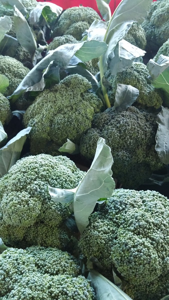 DetroitMarkets's tweet photo. Many of our locations accept SNAP benefits &amp; #DoubleUpFoodBucks + WIC Project FRESH &amp; Senior Market FRESH coupons! Use yours at a DCM event in your neighborhood... https://t.co/pLmxEJwNqC