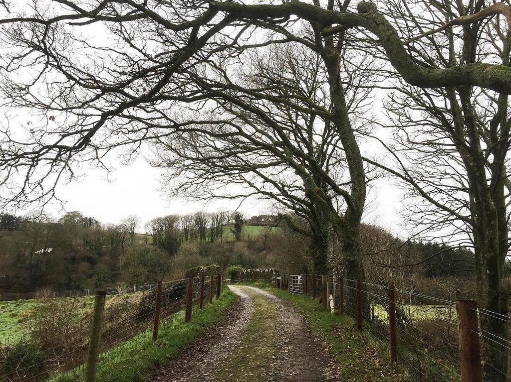 rosehendry's tweet photo. Muddy walks on grey days is far more like it! Now i know i‘m really home 😂
#letsgosomewhere #landscapelovers #landscape_captures #landscapelove #treesandfields #cornwall #cornwalluk #realcornwall #naturewalks #naturewalking #naturewalkers #homeiswher… https://t.co/qgzd0vtqMp https://t.co/7BPqkhkh0Y