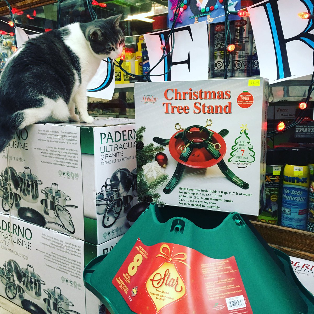 phcoop's tweet photo. Can't find them anywhere? We have! Christmas tree stands sturdy enough for the rowdy cat! Last minute stands for the last minute trees!
#shoplocalwinnipeg #pollockshardwarecoop #pollockshardware #winnipeg #ratchetthehardwarecat https://t.co/O7GJ0ifh2k