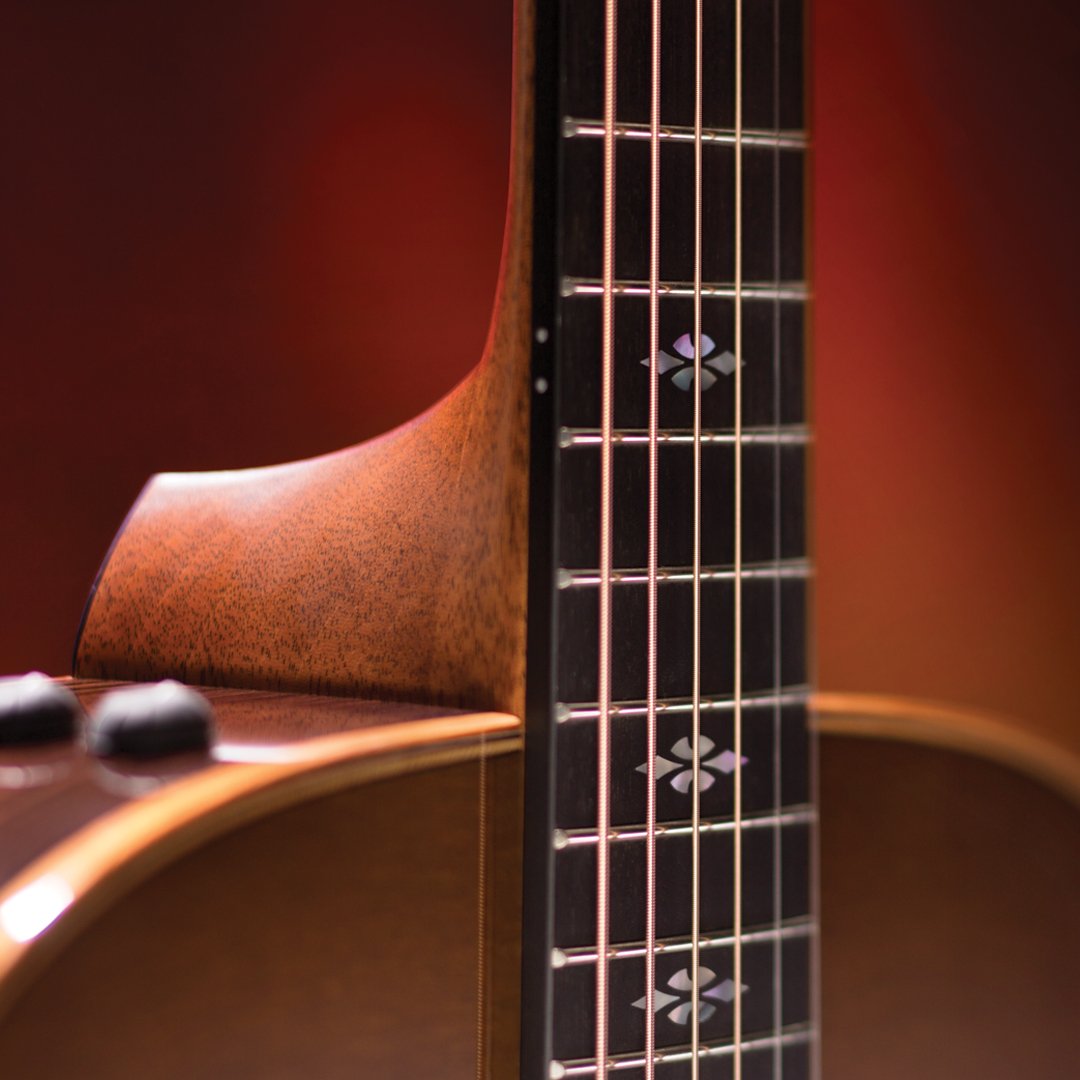 TaylorGuitars's tweet photo. The Taylor Neck changed the game for acoustic guitars, and it's the most comfortable neck on the market for new guitarists. Find out what makes it such a revolution in guitar building. #GiftATaylor https://t.co/xQCXLVAfb4 https://t.co/mOKHuNFCzX