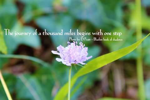 OstaraGoodwitch's tweet photo. Master Builder Series: Purpose With Passion https://t.co/pj93tpvIZU https://t.co/FhjwcHmcIn