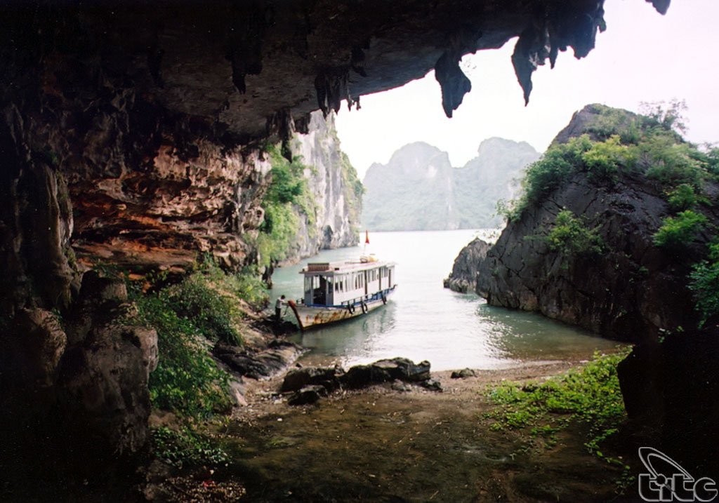 Asia Answers tweet media