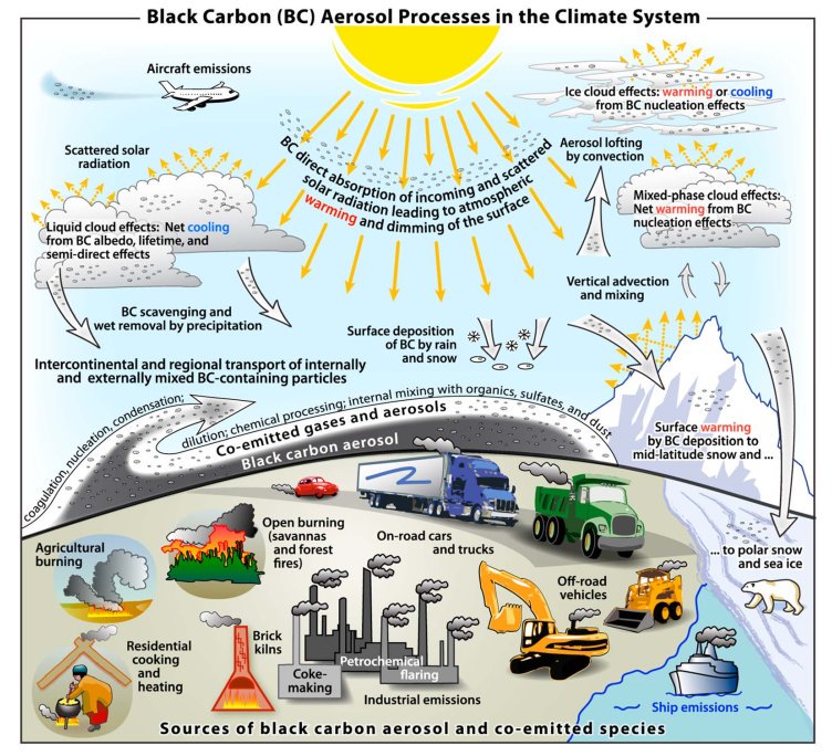 pientka_marleen's tweet photo. @Klimaatzuster @TreesForAll @BabettePorcelyn @NUnl Daarom: stop de bijstook van hout tijdens #energietransitie. Bossen zijn nodig voor omvorming CO2. Nog beter: stook helemaal geen hout, tegen roetvorming. #Roet, waar #Poolijs van smelt. @klimaattwts @KlimaatLimburg https://t.co/snRwCm6J1o