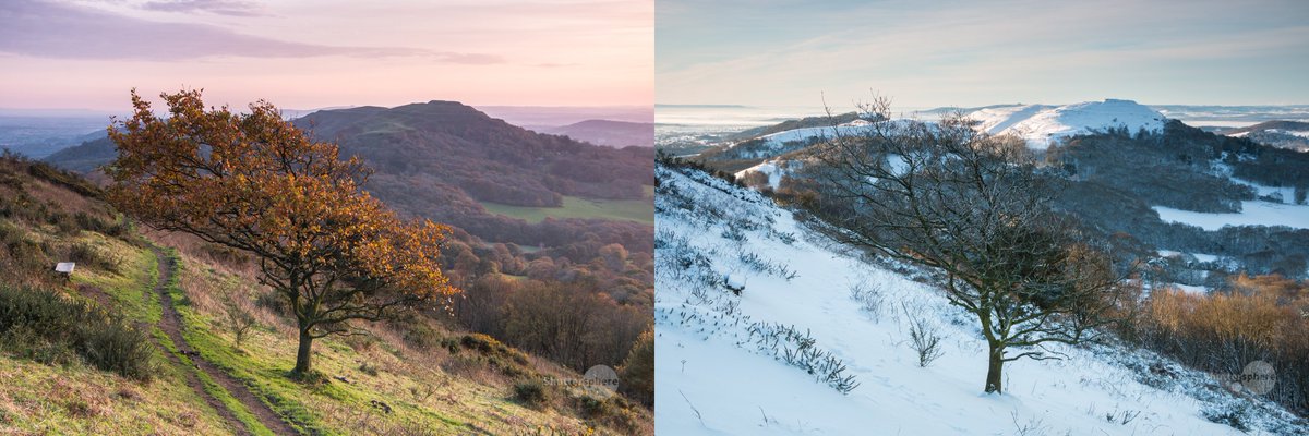 What a difference six weeks makes! #MalvernHills #Worcestershire