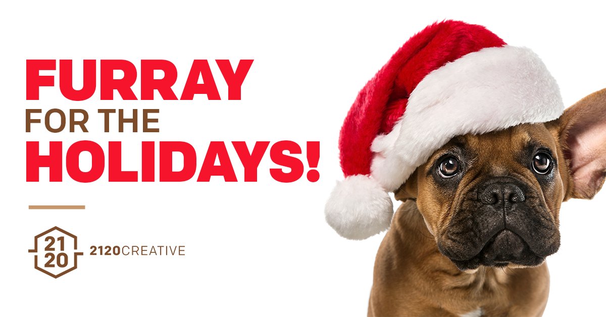2120_Creative's tweet photo. When celebrating the season with friends (furry or not), enjoy our Spotify mix, "Hurray for the Holidays!"https://t.co/LnPHhZNddI https://t.co/N85AGwESIS