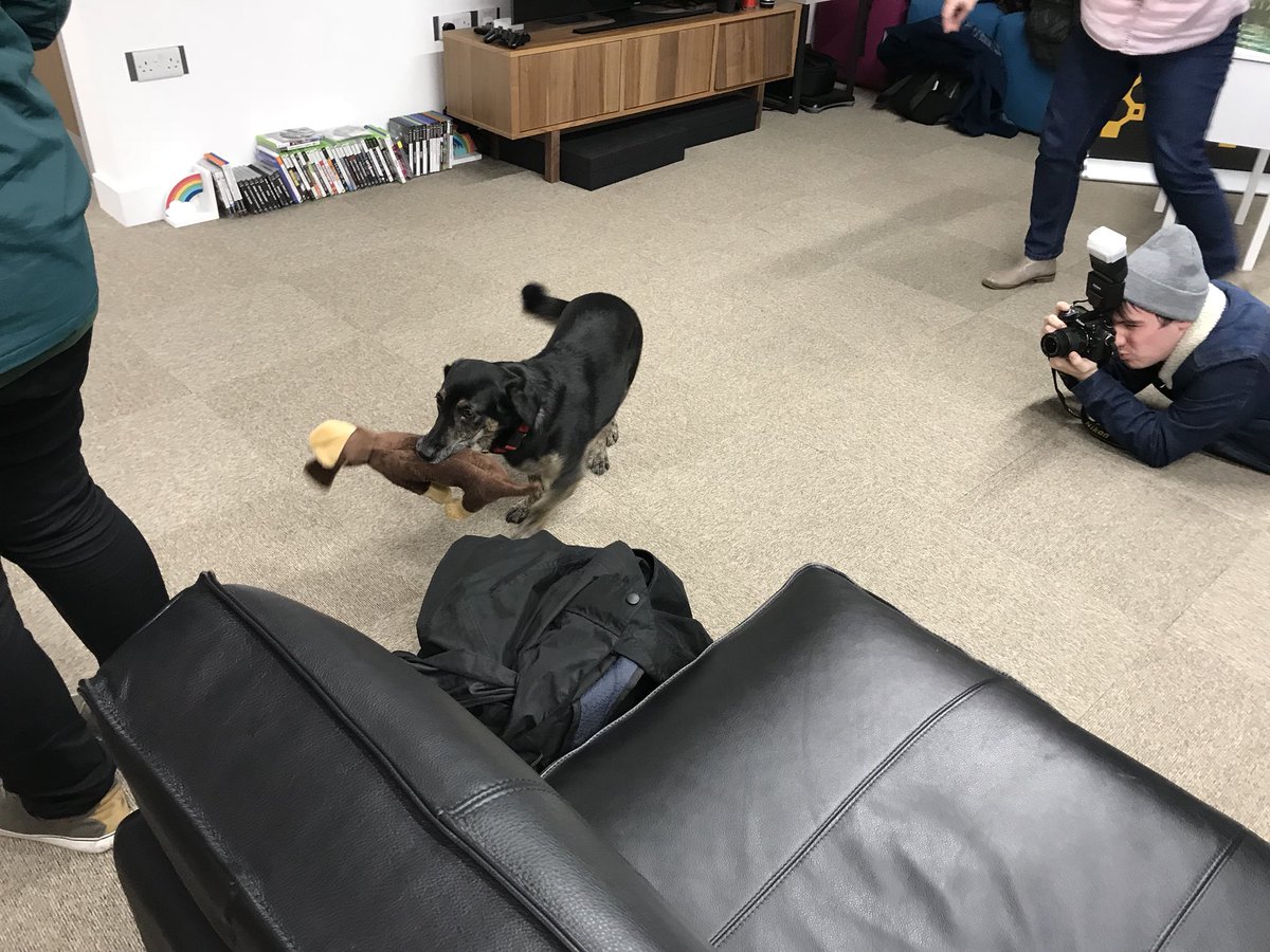 Whitepot's tweet photo. THERE IS A DOG!!!!!! #WWCSheRocks https://t.co/YwxVRWcgkL