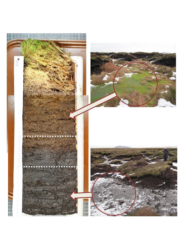 Andy Baird tweet media