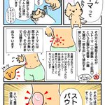 オストメイトトイレはなんのためにあるの？ストーマのことがよくわかる、可愛いイラストが優秀!