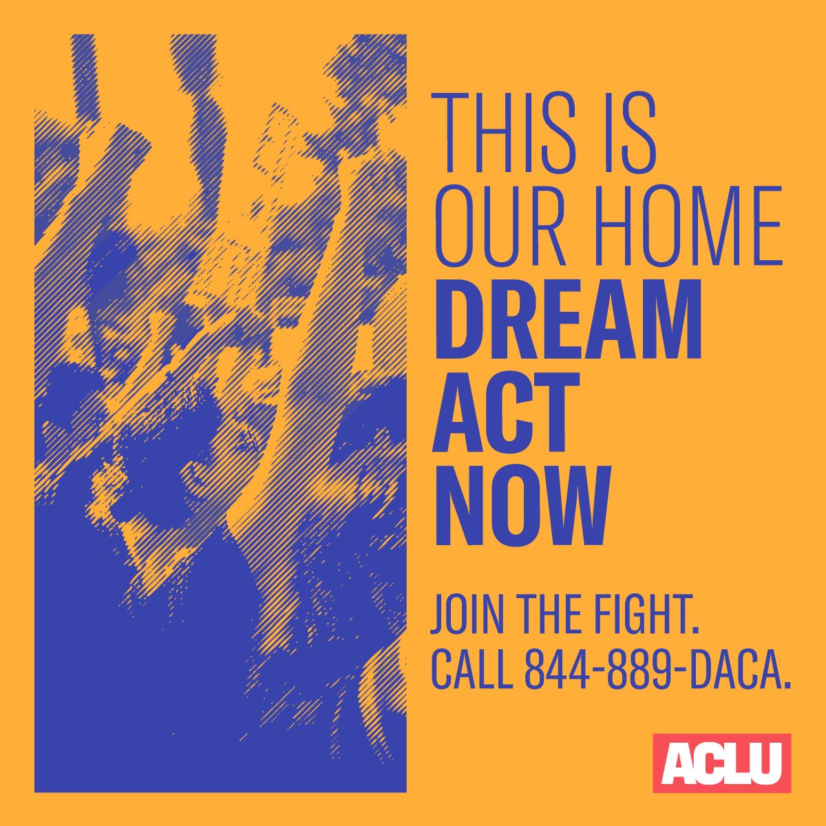 over 12,000 dreamers are at risk of deportation TODAY because trump ended DACA. this number only keeps growing. we MUST call congress and demand they pass the dream act before the end of the year!!!! ✊#DreamActNOW #HereToStay aclu.org/DreamActCall