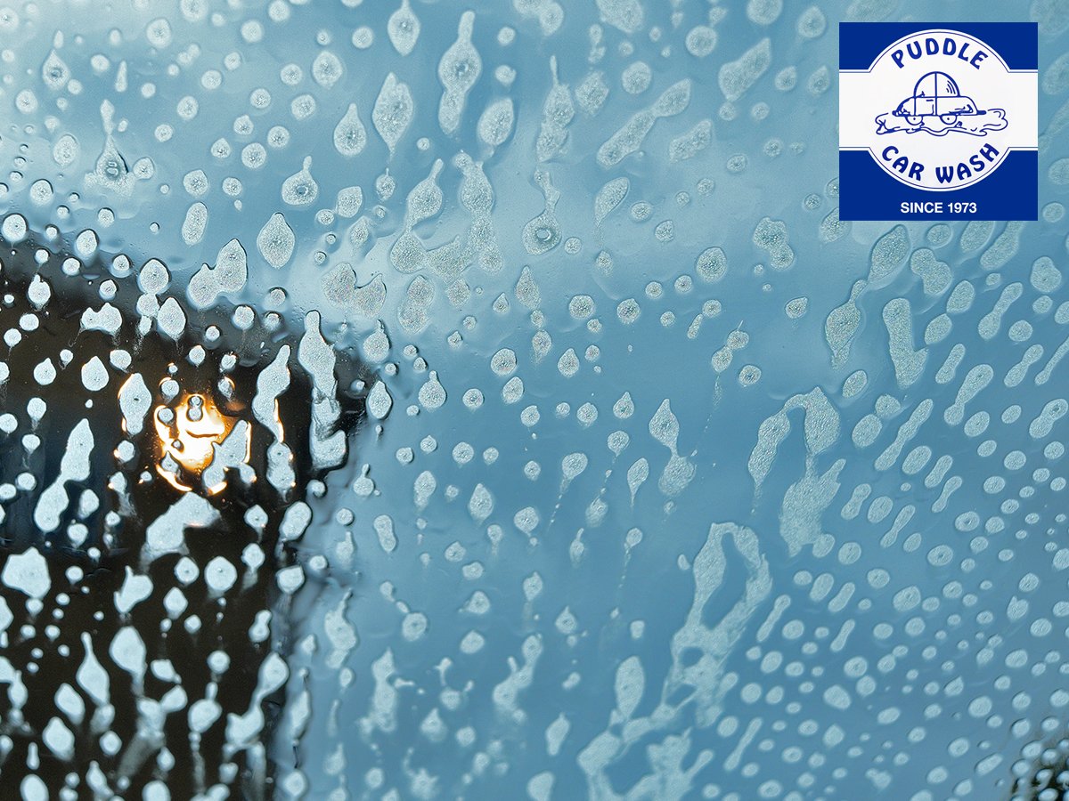 PuddleCarWash tweet picture
