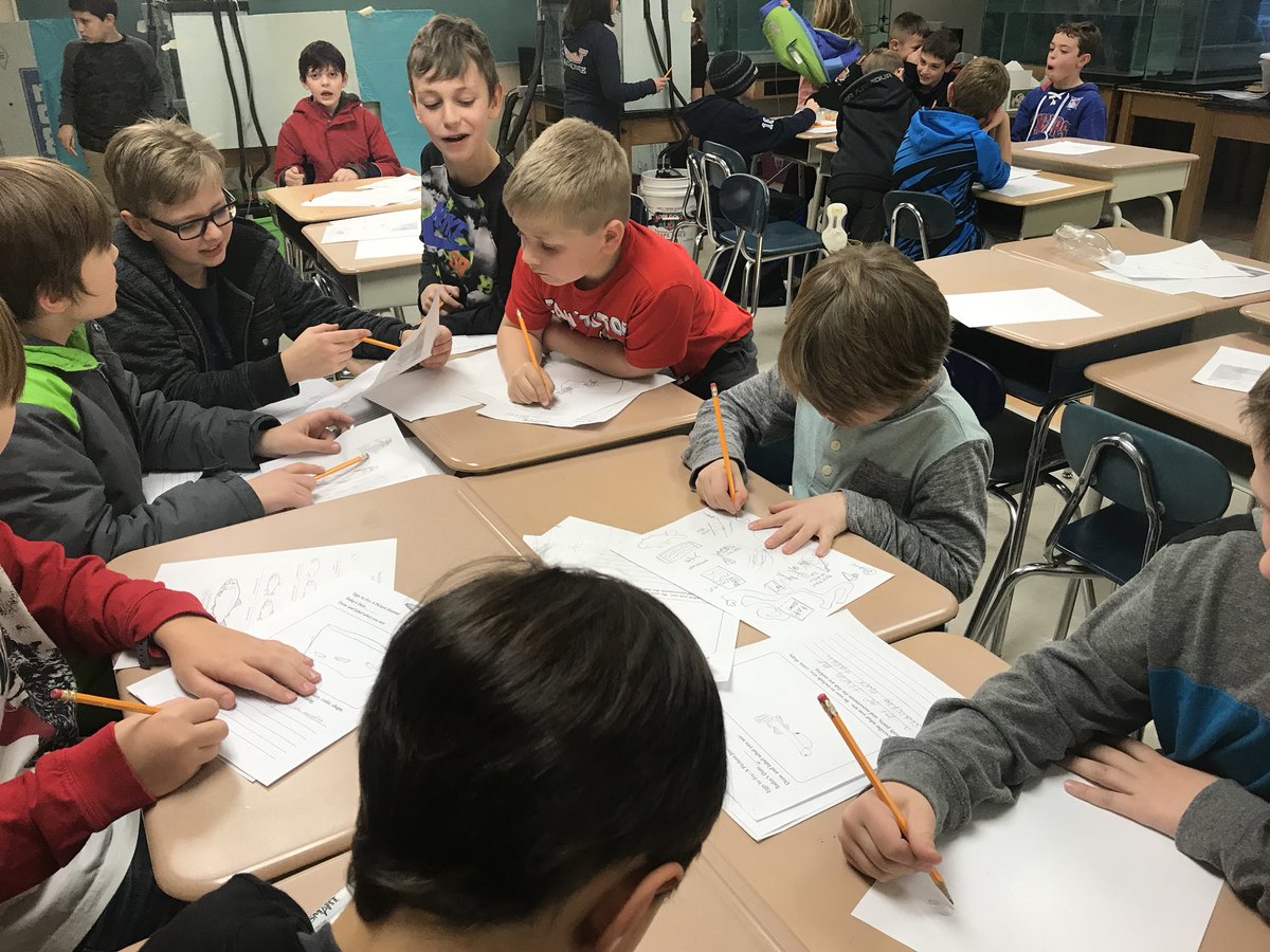 SNISEcologyClub's tweet photo. Busy sketching our alevin and recording our observations of growth  this week. https://t.co/26xXWhGQJB