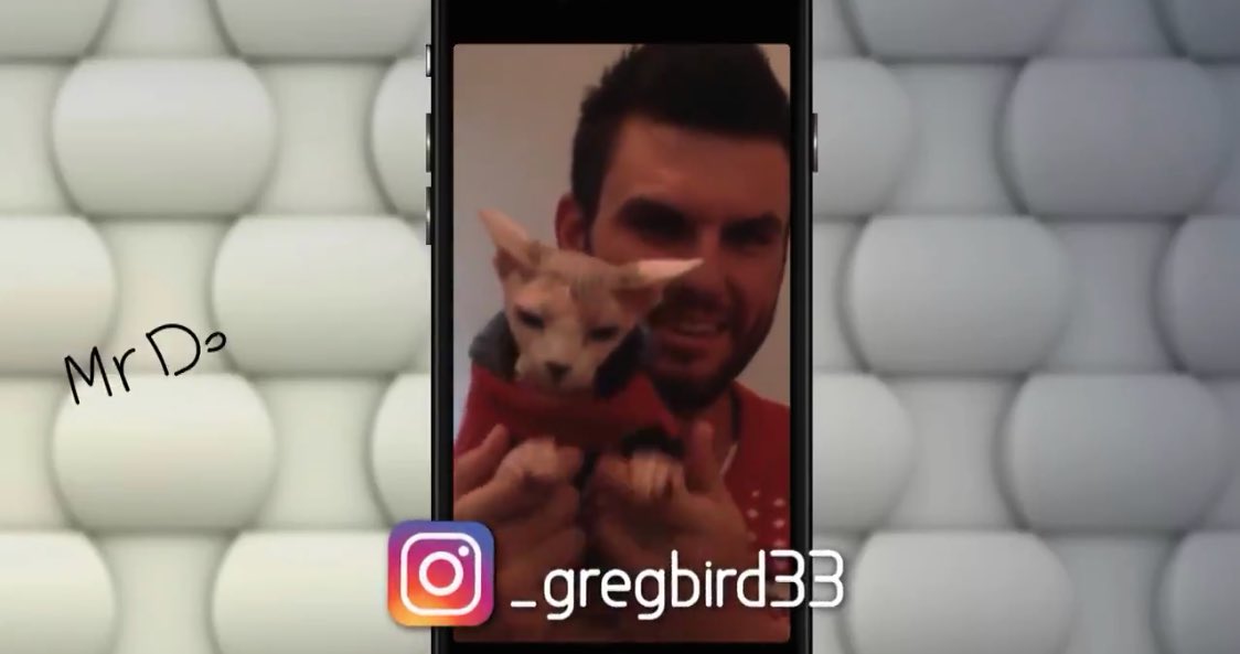 itsmrstealyour_'s tweet photo. They have matching sweaters hahahahaha #MrDelicious #Lish #MyFirstBaseman https://t.co/1CYt7vXLC0