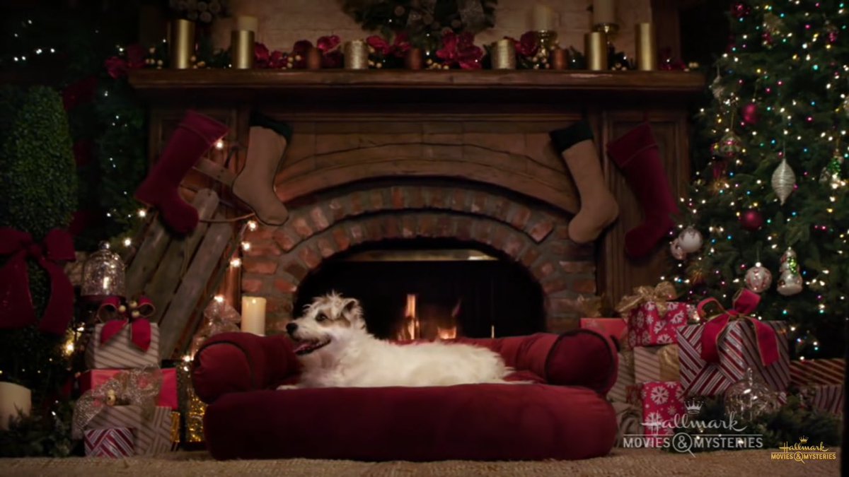 StephFiorelli's tweet photo. Definitely didn't cry at work today and definitely wasn't crying because of how cute @hallmarkmovie's Yule Log video is! 🐕🎄🐈🎄 https://t.co/kipboWinxu