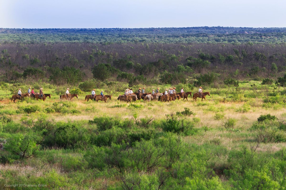 The #WaggonerRanch seems endless from the pasture. At 510,527 acres, it's larger than #NYC &amp; #LA combined.
