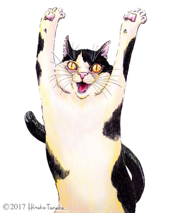 ぶち猫のtwitterイラスト検索結果