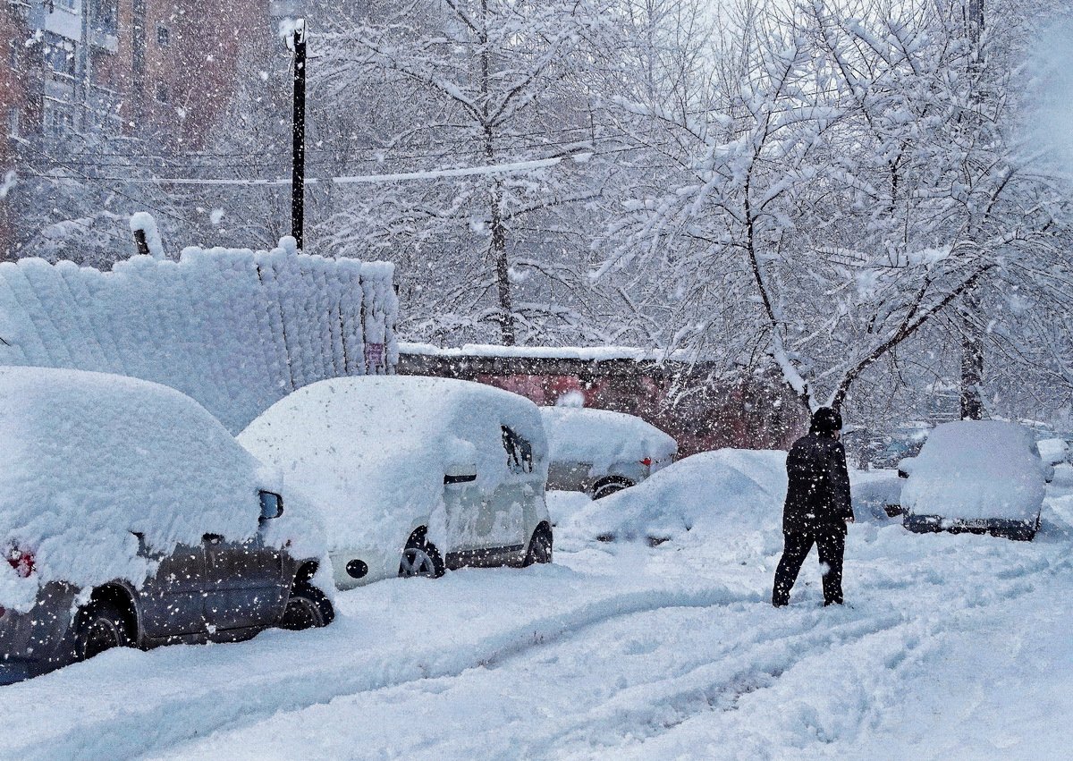 В связи со сложными погодными условиями❄️, сроки доставки заказов могут быть увеличены