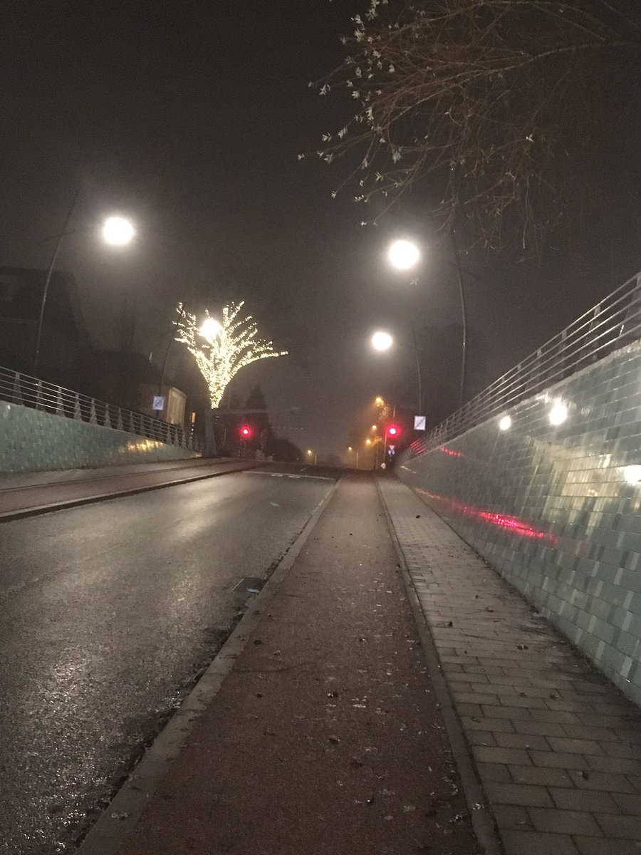 AadElst's tweet photo. @Gem_Overbetuwe @LianderNL @kirstenvanrijen Fijn dat de straatverlichting het weer doet! Dauw / Regenboog #westeraam https://t.co/NhMKM25bVP