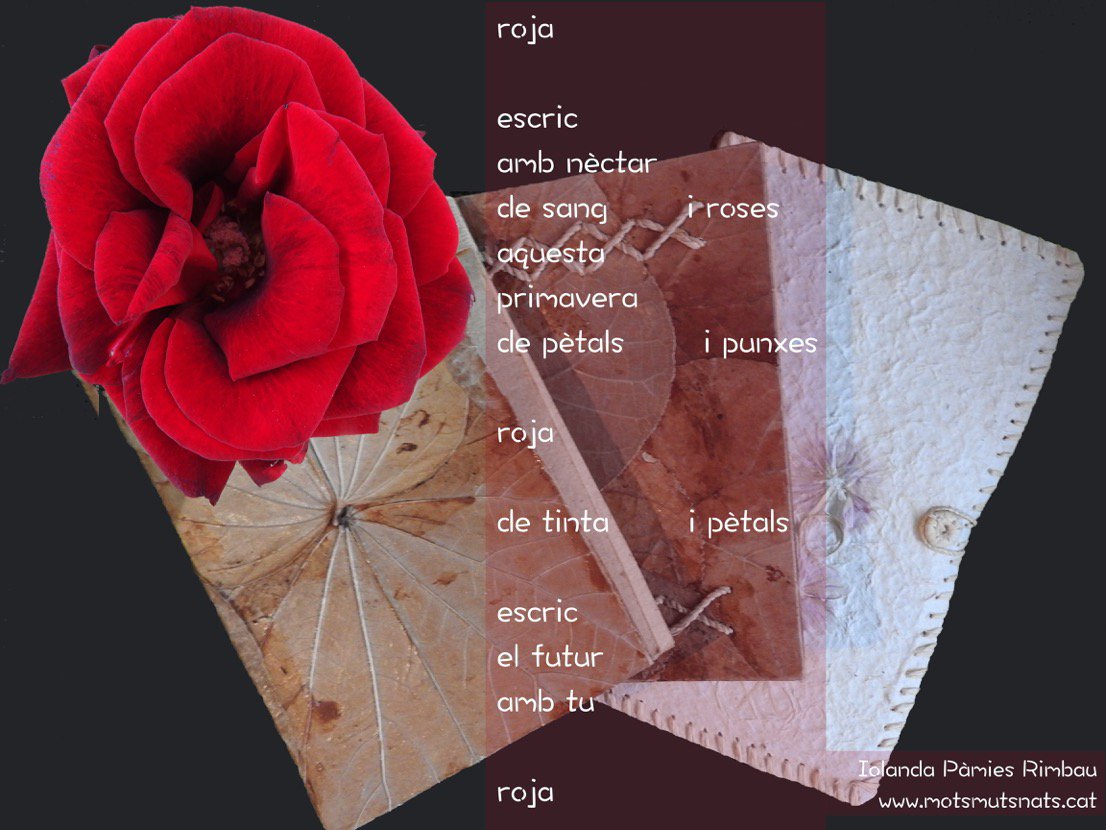 roja
escric
amb nèctar
de sang  i roses
aquesta
primavera
de pètals  i punxes

roja

de tinta i pètals

escric
el futur
amb tu

roja