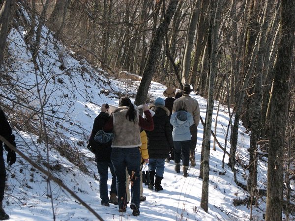 Here's something fun to do after Christmas.... visitfranklin.com/events/marshma… #WesthavenTN #FranklinTN