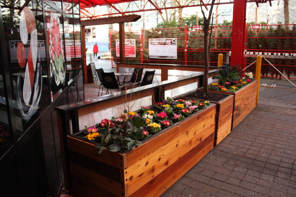 LifeSpaceGarden's tweet photo. Did Bean Around the World's patio this past week at @LonsdaleQuay! It's always awesome to see businesses getting on board growing food! https://t.co/8vONRg1V0u