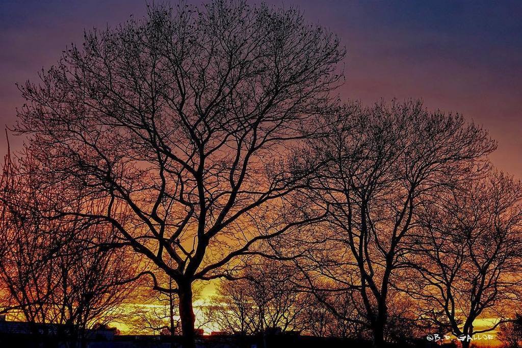 BDGallof's tweet photo. Sunset - Hauppauge, Long Island - shot via Sony A7RII and edited on a Mac with On1 RAW 2018 - finished on an iPadPro with Lightroom/EnlightPhotoFox #winter #hauppauge #longisland #newyorkexplored #newyorkstate #exploreliny #li148 #naturephotography #fabs… https://t.co/VD6k23gZQ2 https://t.co/dYj4TOQu3c