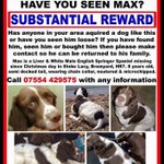 Photo by Lets Get Max Home (@letsgetmaxhome)