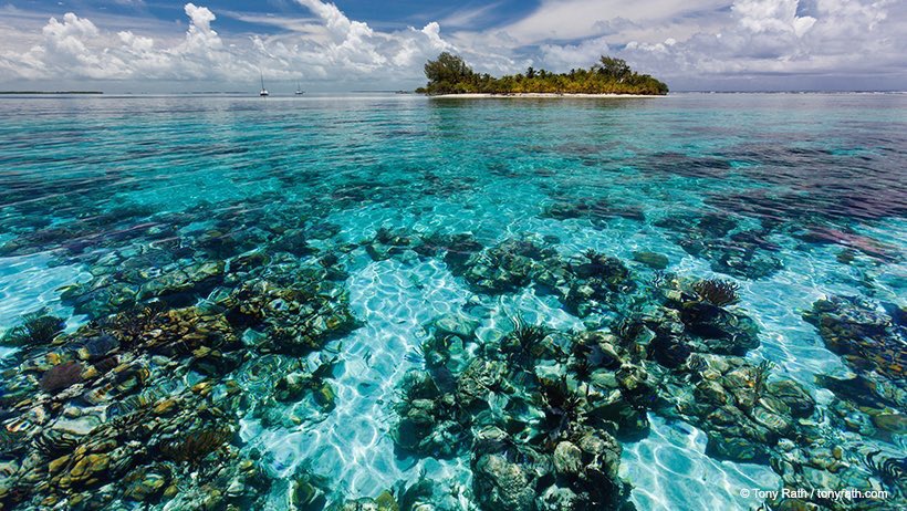 ConvenerNatureP's tweet photo. Big wins in 2017. Over 400,000 of you came together this year to urge a ban of offshore oil activities in the stunning Belize reef and World Heritage Site. YOU made it happen! #WWF2017Recap #SaveBelize https://t.co/2hltQhhuRy https://t.co/9TOO8KWlhK
