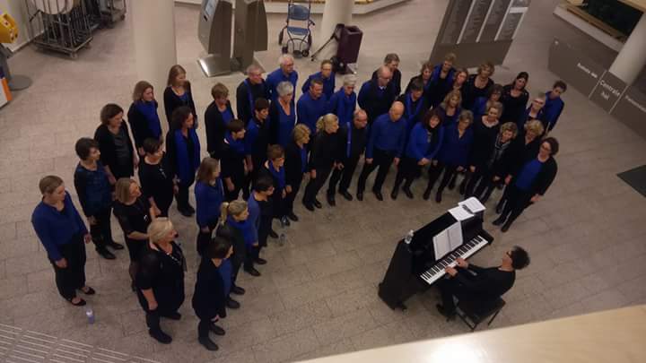 Gezongen in de centrale hal <a href="/IsalaZiekenhuis/">Isala</a> en daarna in groepjes over de afdelingen. Bijzonder dankbare ervaring.