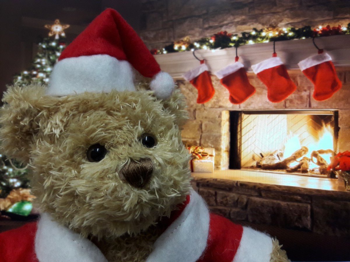 PI_Newport_SW's tweet photo. #12daysofbernard
wednesday 20th,
Bernard warming by the fire after hanging up his stockings. https://t.co/2ZLhkTiFbW
