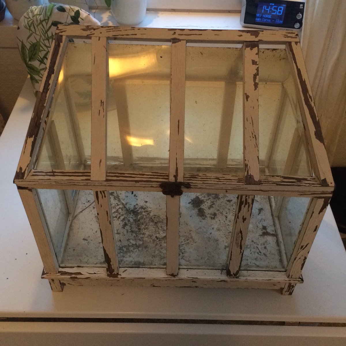 TommyTonsberg's tweet image. Day 6: Todays happy is that I finished restoring this «wardian case» I found in the barn. Mostly happy because I didn’t quit when it got difficult fitting the new glass. Last two photos are before photos. #TodaysHappyTweet