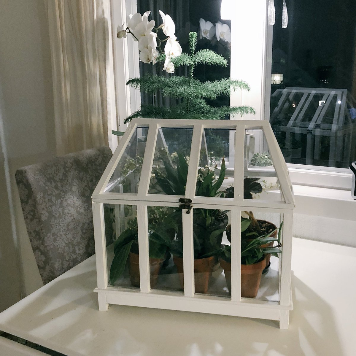 TommyTonsberg's tweet image. Day 6: Todays happy is that I finished restoring this «wardian case» I found in the barn. Mostly happy because I didn’t quit when it got difficult fitting the new glass. Last two photos are before photos. #TodaysHappyTweet