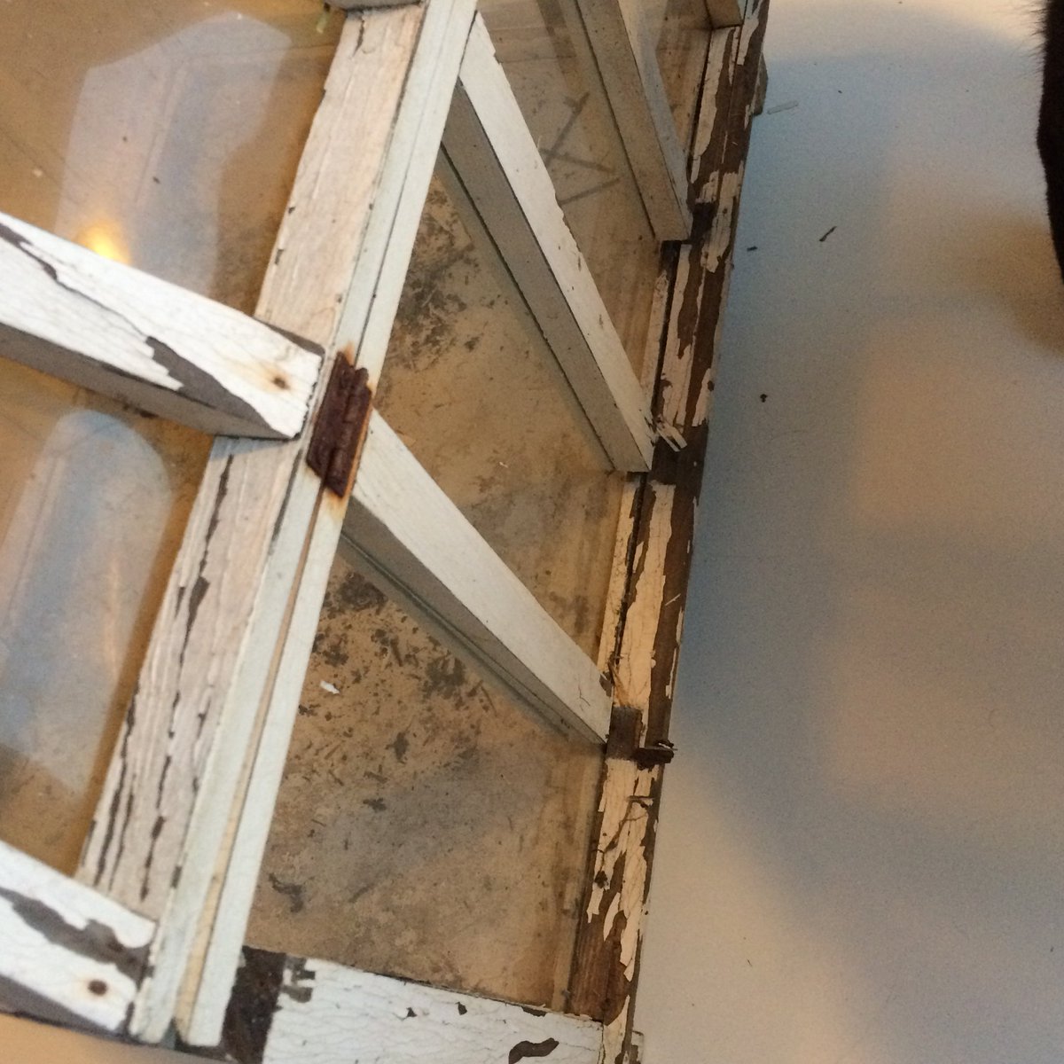 TommyTonsberg's tweet image. Day 6: Todays happy is that I finished restoring this «wardian case» I found in the barn. Mostly happy because I didn’t quit when it got difficult fitting the new glass. Last two photos are before photos. #TodaysHappyTweet