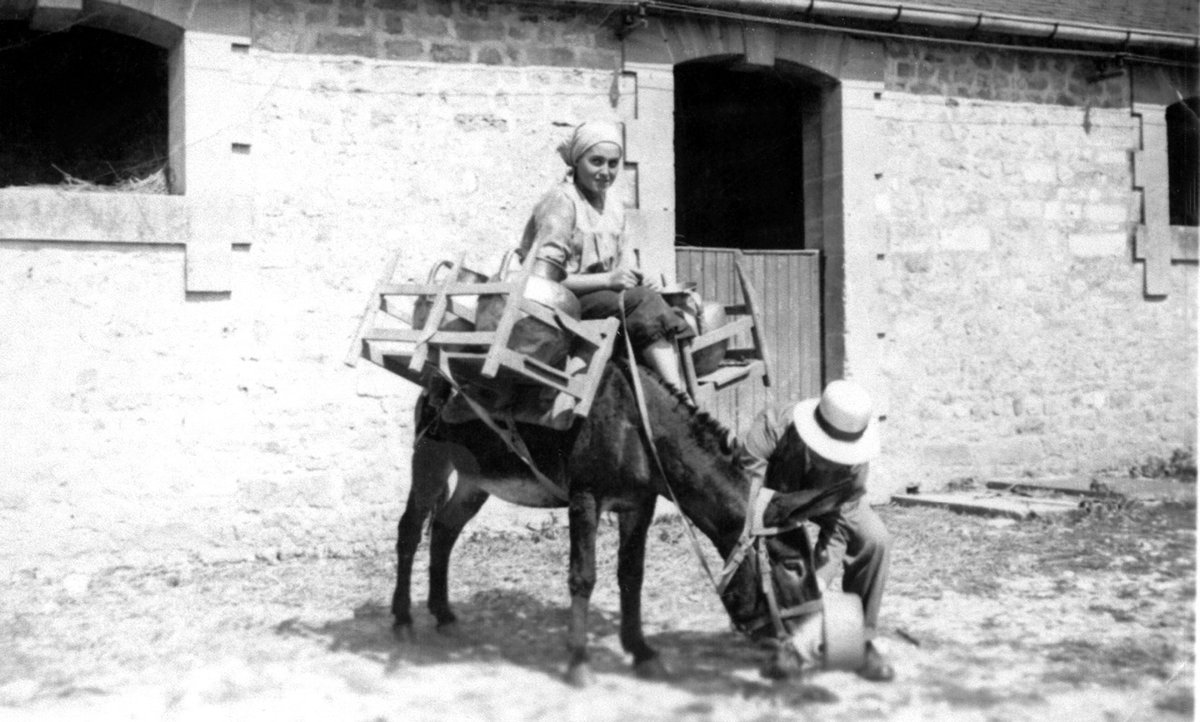 Isigny America tweet media