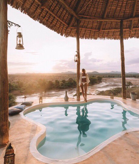 American Nomad tweet media
