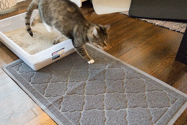 wirecutter litter mat