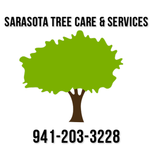 Sarasota Tree Care (@sarasotatree) / Posts / X
