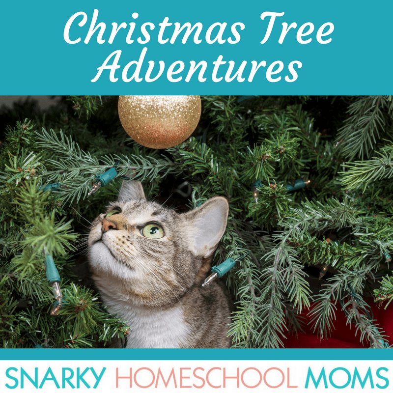 SnarkyHSMoms's tweet photo. Why you should never rescue a kitten from a Christmas tree wearing only a towel and other Christmas Tree Adventures https://t.co/MGTfL9H52z #podcast #snarkyhomeschoolmoms https://t.co/5wmRGF6YII