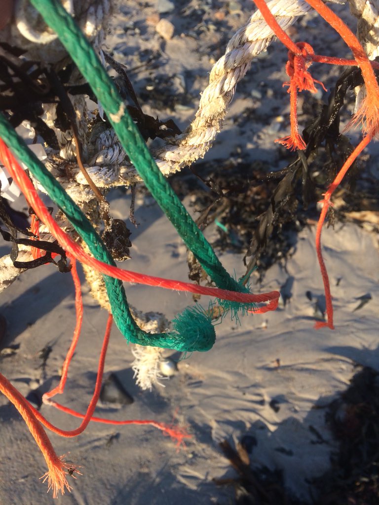 beach_womble's tweet photo. One short walk after stormy seas.  I forgot a bag so just collected what I could hold.
#jerseyci
#beachclean
#blueplanet2 https://t.co/0rw4P0HeOV