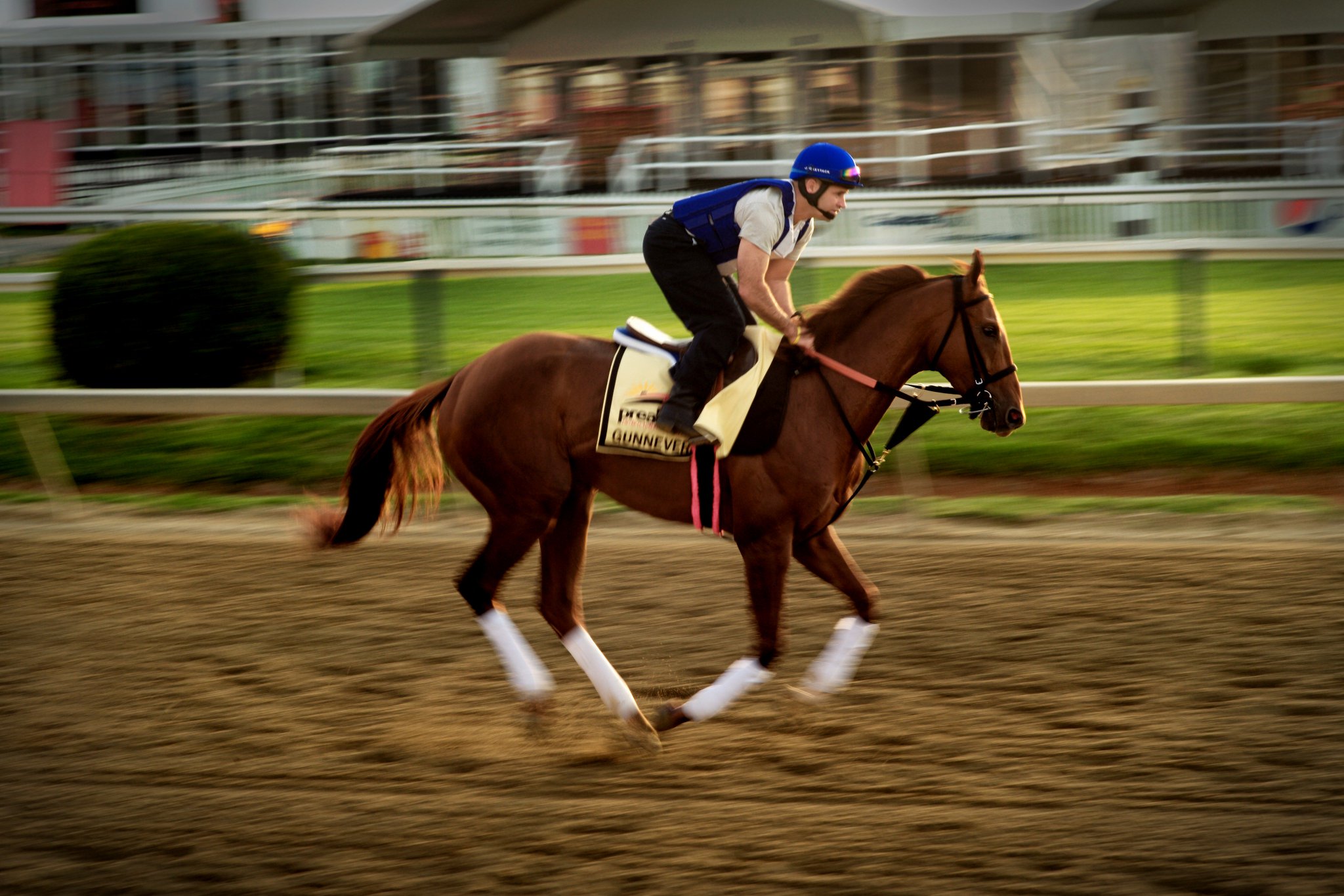 Pegasus World Cup on Twitter "The confirmed 2018 Pegasus World Cup