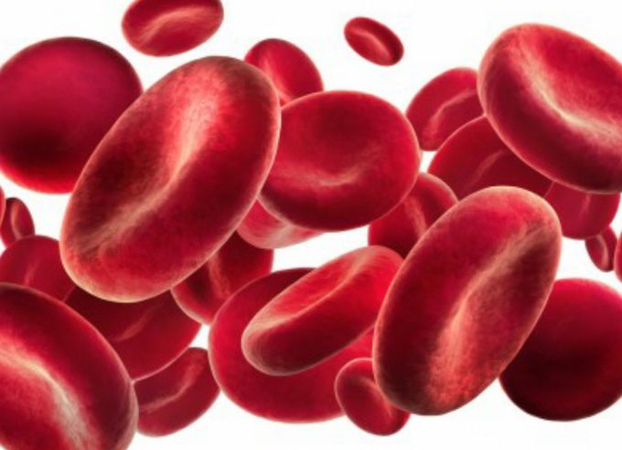 HerbolarioLola's tweet photo. Qué hacer en caso de #anemia: https://t.co/Dk71kwa9zP #ElHerbolariodeLola #TiendasOnline #herbolario https://t.co/q9CGwAJofu
