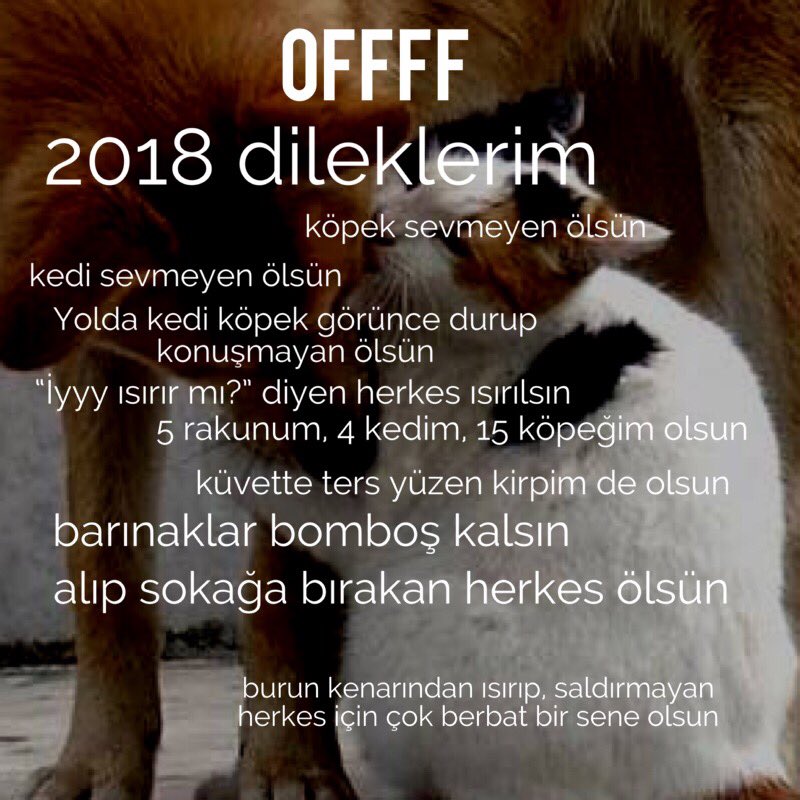 offffcok's tweet image. 