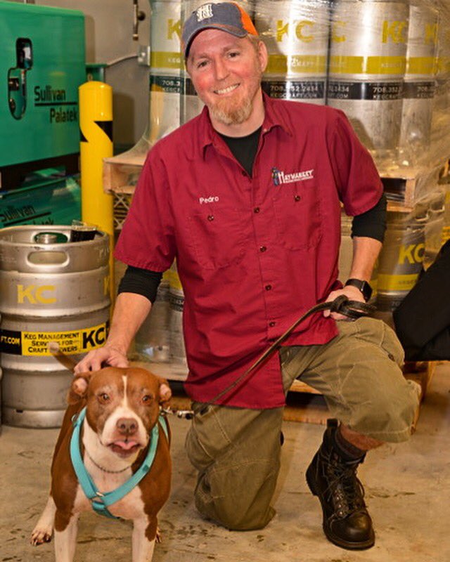 HaymarketTap's tweet image. Thank you to everyone who came out to support us in supporting the Humane Society of Southwestern Michigan on Saturday! We raised $975 to help homeless cats and dogs!