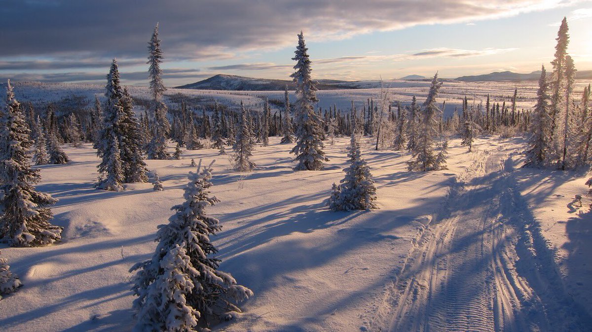 Interior's tweet photo. Grab a cup of cocoa &amp; check out these gorgeous pics of public lands in winter https://t.co/Q8wzTEXhsA ❄️⛄️❄️ https://t.co/8UkT0l6vYV
