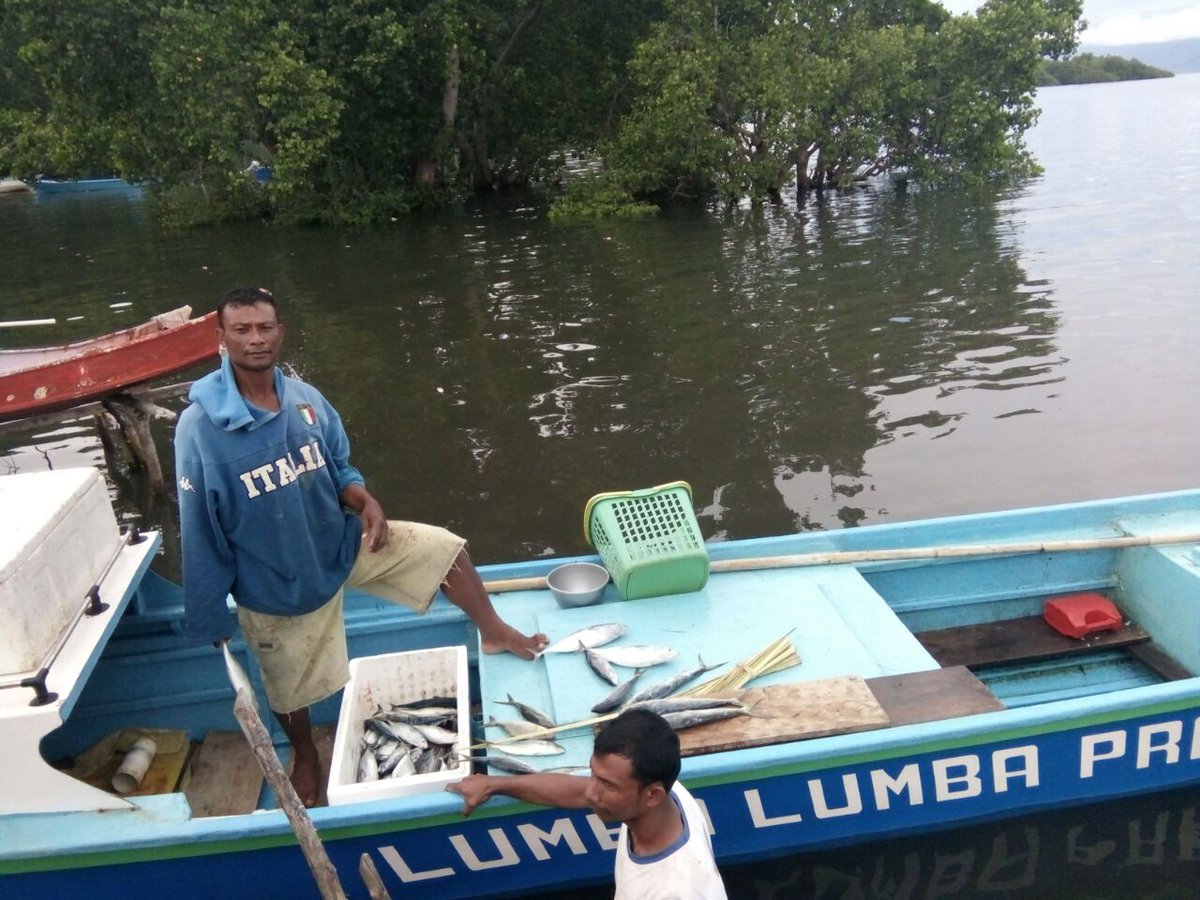 DadangSaiful13's tweet photo. Hasil tangkapan klompok binaan CCDP-IFAD Kota Ternate (lokasi kecamatan Moti) https://t.co/1fuebwJ123