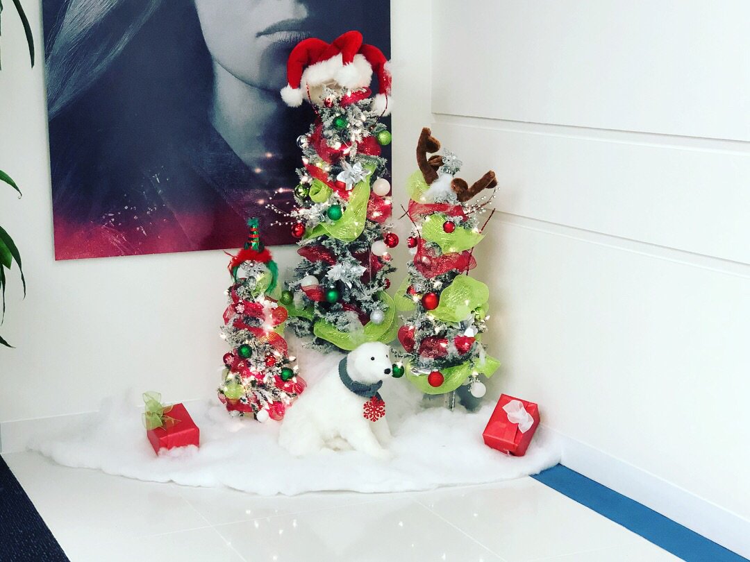 zerofractal's tweet photo. Such a pleasure to have our team decorate the #HBO Latam offices in Miami &amp; Sunrise FL! 🌲❄️ #HappyHolidays #SeasonsGreetings #HolidayDecorating #design #agencylife https://t.co/2aRDfSKFHq